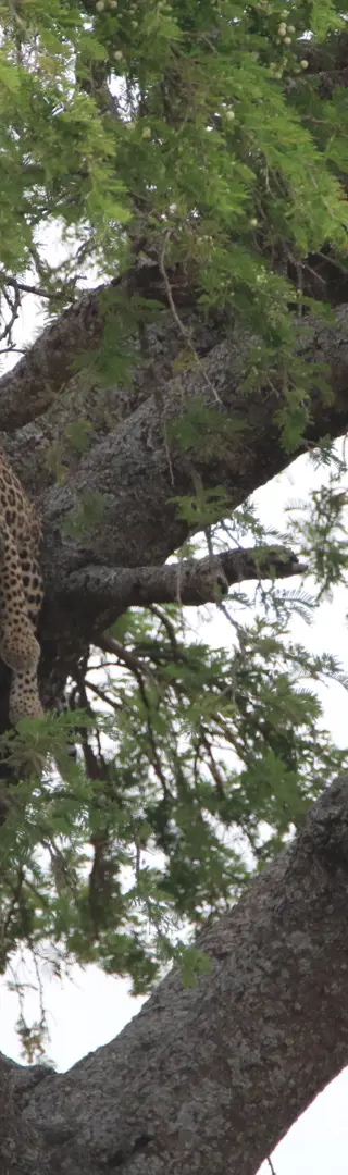 Zeit für ein bisschen Ruhe